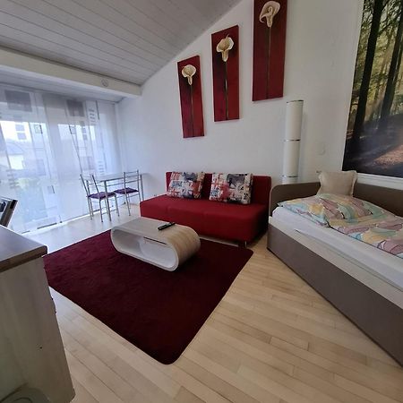 Exclusive Apartments Битигхайм-Биссинген Экстерьер фото